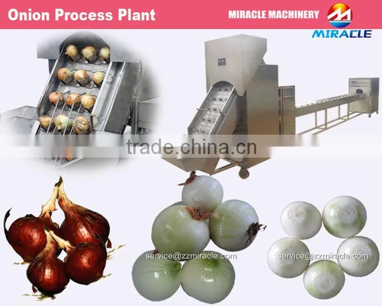 Fresh onion skin removing machine also named onion peeler machine
