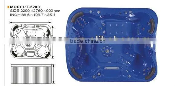 large swim spa