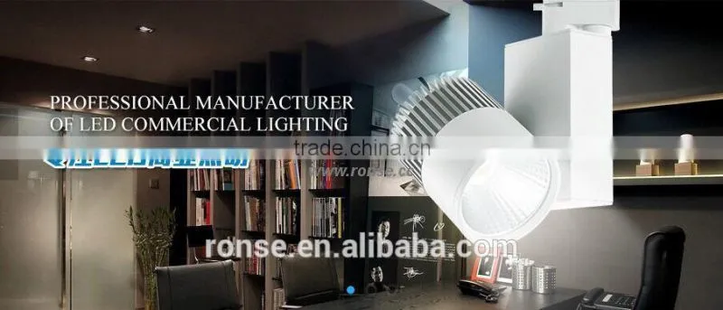 Ronse 30W COB Led Track Light