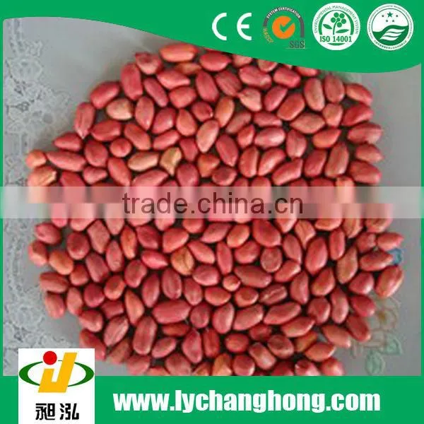 Best peanut kernel and lowest price round peanuts