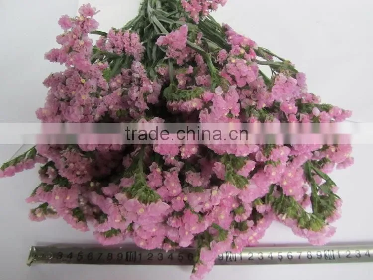Colorful hot sale decorative supplies myosotis