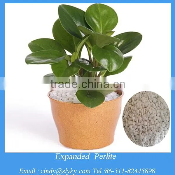 agricultural perlite price