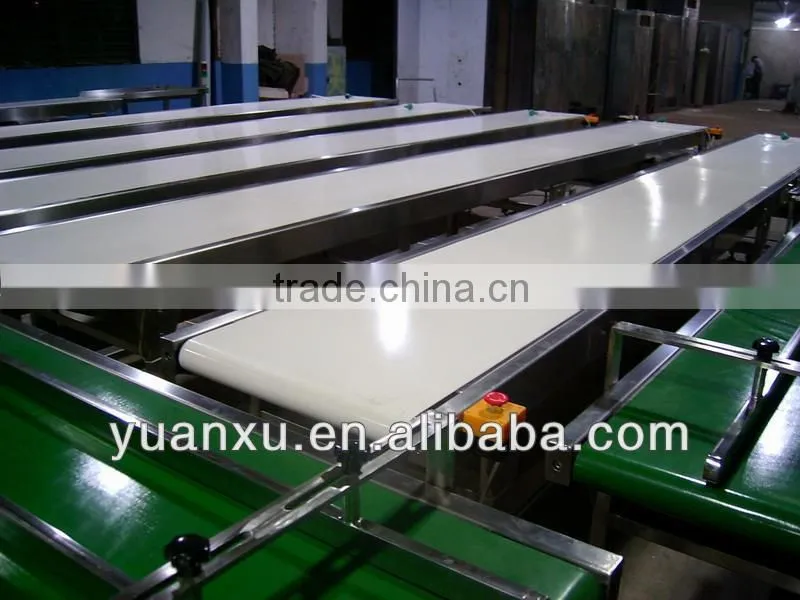 YK-PD001 Automatic green belt conveyor