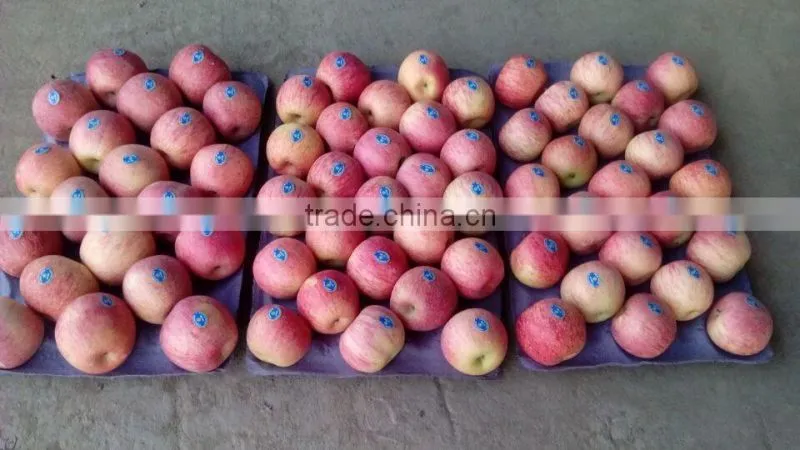 Fresh Qinguan apple