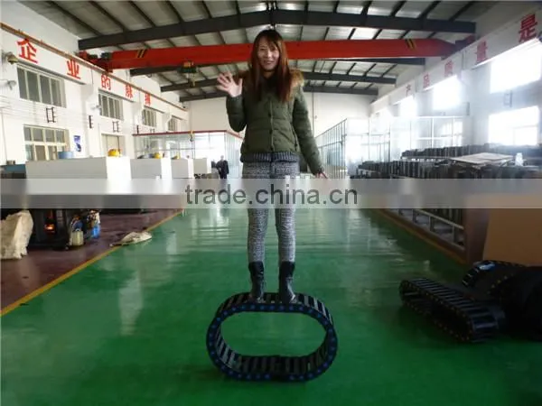 RUIAO TLX series cnc plastic wire track for automation