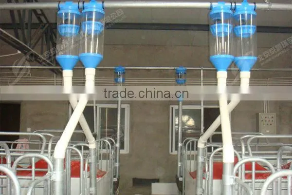 Automatic Poultry Equipment for Pig Raising