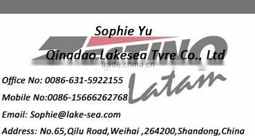 Gravel Rally Tyre Gravel 09R Tire 195/65R15 Excellent Performance Zestino Brand