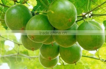 100%Natural High Quality Luo han guo extract powder