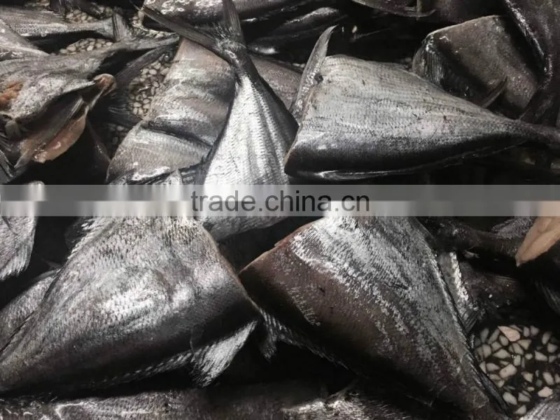 Frozen brama brama fillet boneless top quality