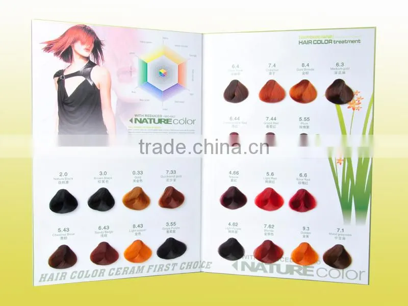 OEM Manufacturer Salon Professional Hair Dye Color Chart/Color Swatch Book