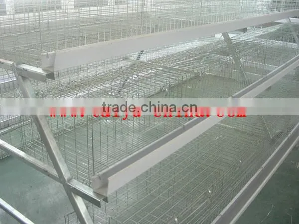 TAIYU Poultry House Cage for Growing Broiler