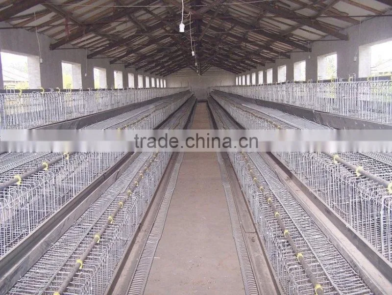 High Quality Poultry 4 Layer Chicken Cages for Poultry Chicken Egg Cages Farm