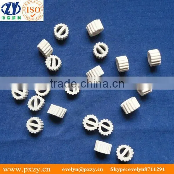 Industrial Ceramic Lessing Ring