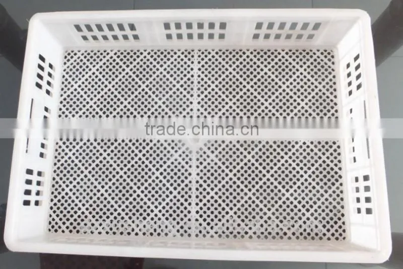 egg incubator spare parts