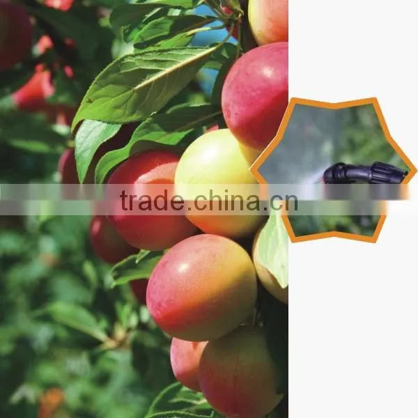 16L Stainless steel knapsack sprayer for agriculture