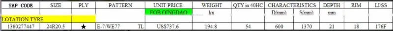 Military tires 24R20.5 RUNFLAT tires for sell