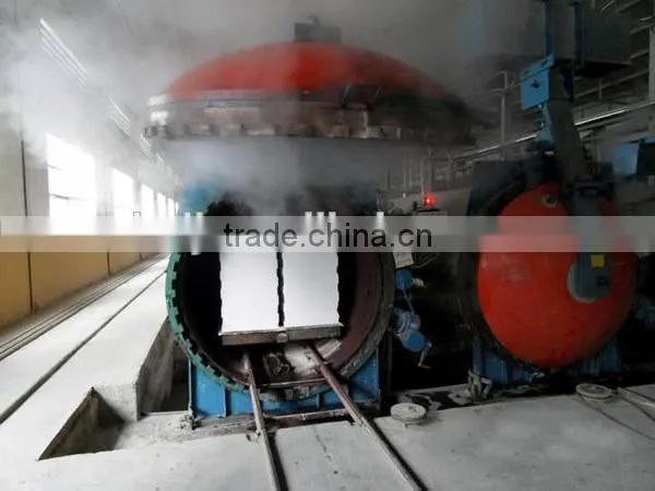 Fully automatically autoclave aerated concrete block plant