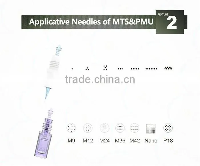 2017 Newest Electric Dermapen micro needles for permanent makeup tattoo machine gun