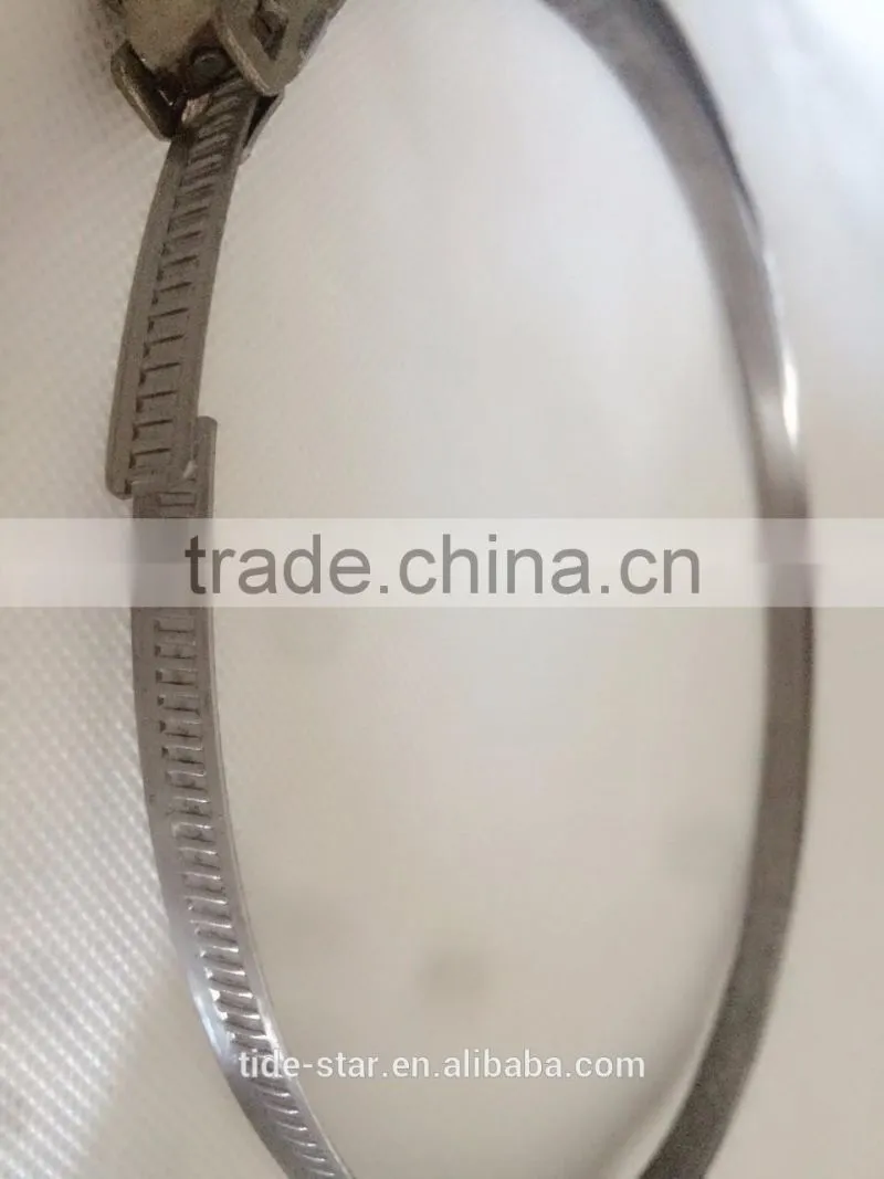 Hot Selling Quick Release Clamp (Jubilee Clamp)