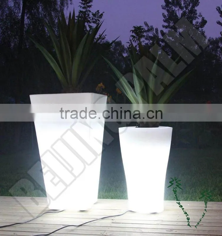 Flower pot with some plants