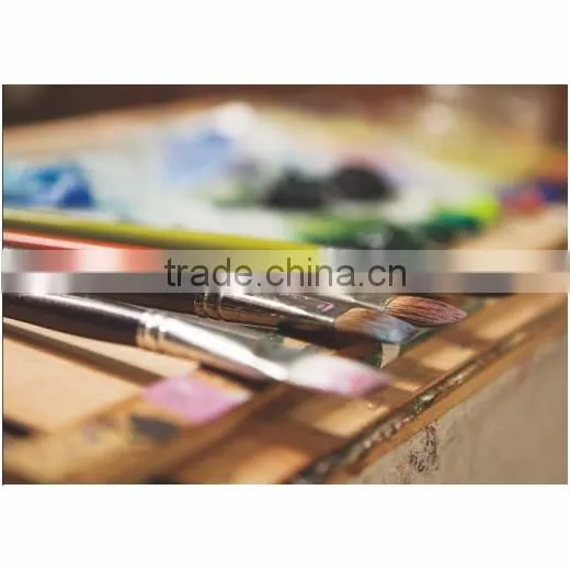 High-end 9Pcs/set Bicolor Synthetic Nylon Bristles Acrylic Watercolor Paintbrushes for Artists