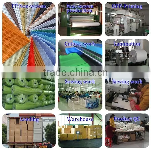 2015 New Cheap pp Non Woven Bag for Shopping/Pp Non Woven Shopping Bag