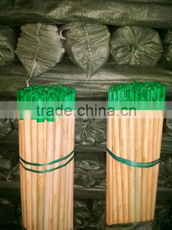 Mexico screw natural wooden broom stick