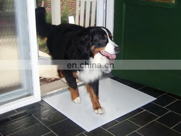 dogs accessories in china dog mat