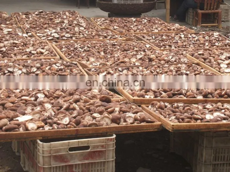 Mushroom cultivate bag filling machine price