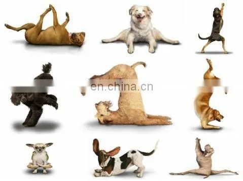 loading weight 120kg dog treadmill price