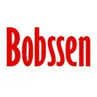 Jiangxi Bobssen Auto Parts Co.,ltd