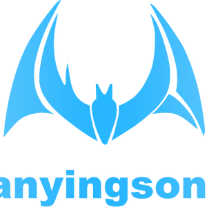 Shenzhen Fanying Ultrasonic Technology Co., Ltd