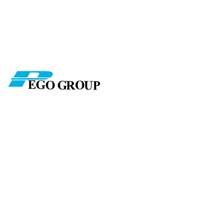 Pego Electronics (Yi Chun) Company Limited