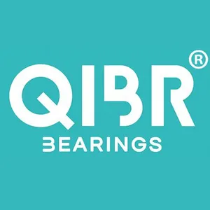 Luoyang QIBR Bearing Co.,LTD