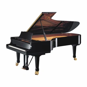 Asia Constansa Instrument Export Co Ltd