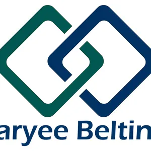 Hebei Saryee Belting Co., Ltd.