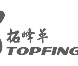 Topfinger Equipment (Shenzhen) Co., Ltd.