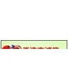 China Tianjin ChengXin Carpet Co.,Ltd