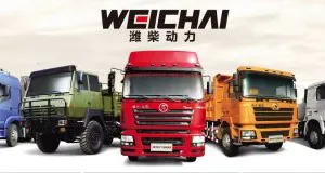 Ying Fei Trade Company Limited