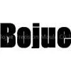Shanghai Bojue Precision Mould Co.,Ltd