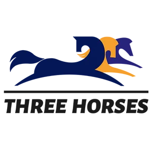 Shenyang Three Horses Technology Co., Ltd