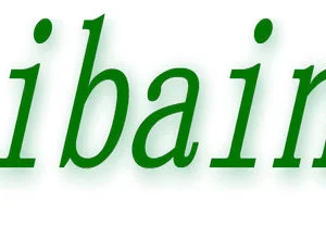 Jinan Saibainuo Extrusion Machinery Co.,Ltd