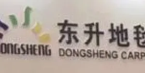 Rizhao Dongsheng Carpet Co.,ltd