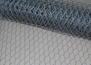 Linhai Chicken Wire Factory