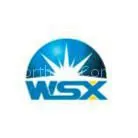 Shenzhen Worthing Company