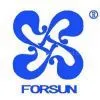 Forsun Wrought Iron Co.,Ltd.