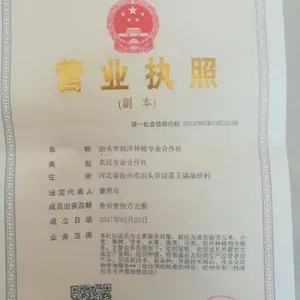 Botou Runyang Planting Professional Cooperative