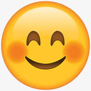 Smile Leather