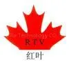 Shenzhen Hong Ye Jie Technology CO., Ltd.（CN）