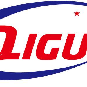 Hebei Qiguo Bicycle Co.,ltd